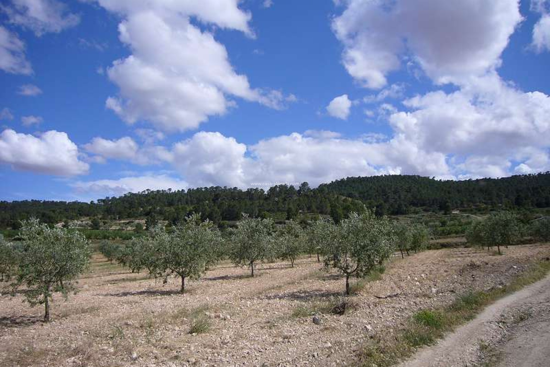 Wiederverkauf - Country Property/Finca - Salinas - Inland