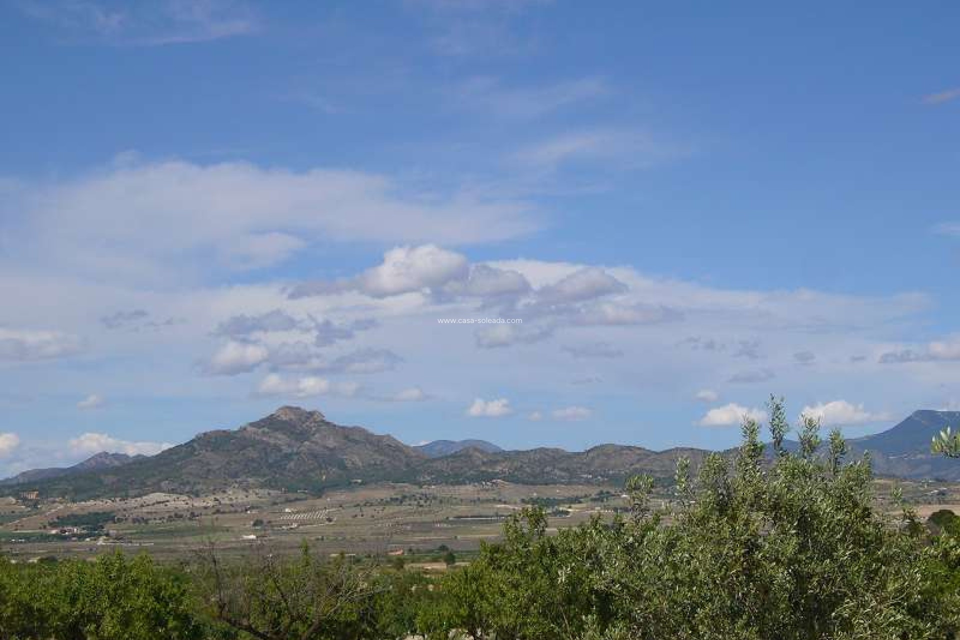 Wiederverkauf - Country Property/Finca - Salinas - Inland