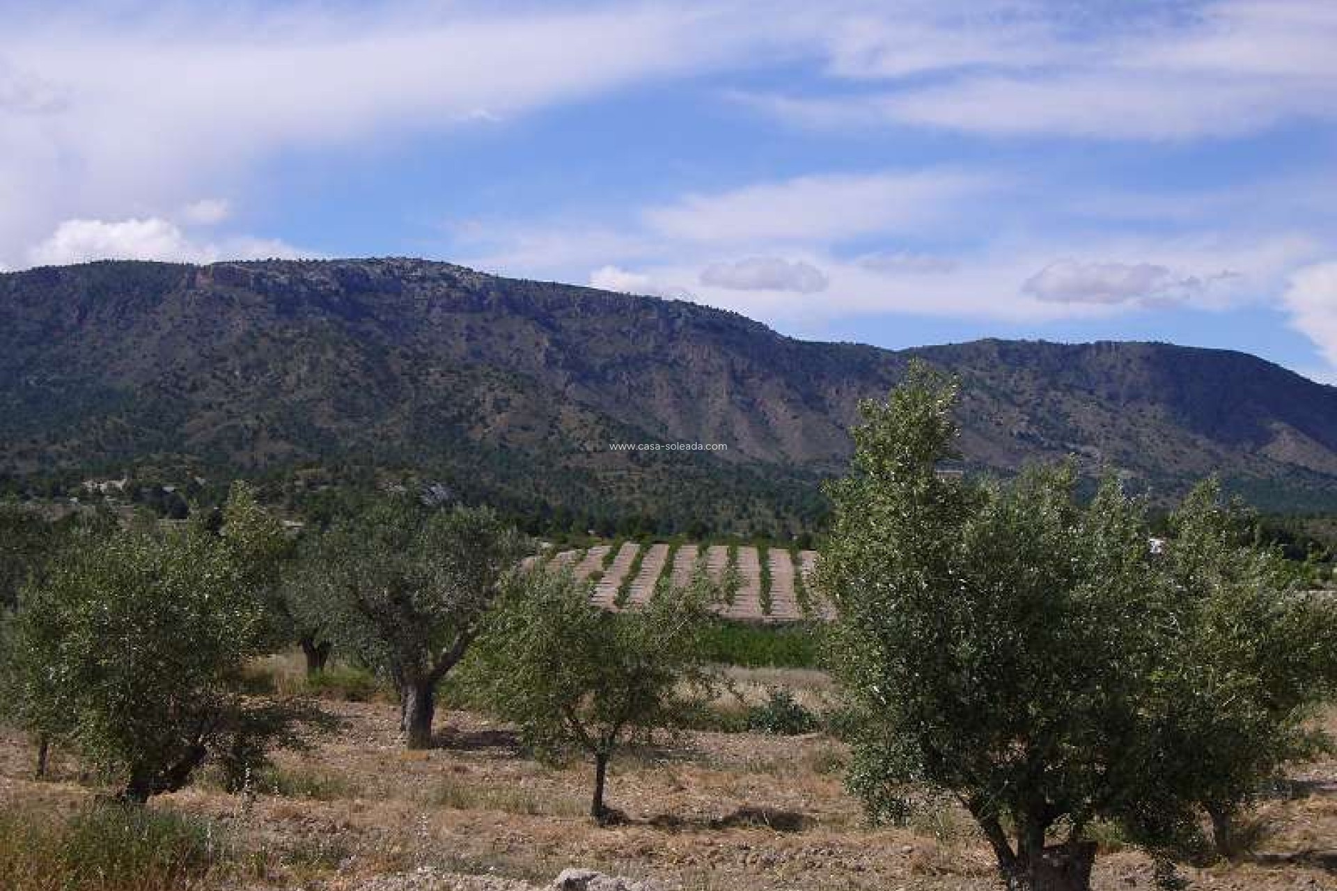 Wiederverkauf - Country Property/Finca - Salinas - Inland