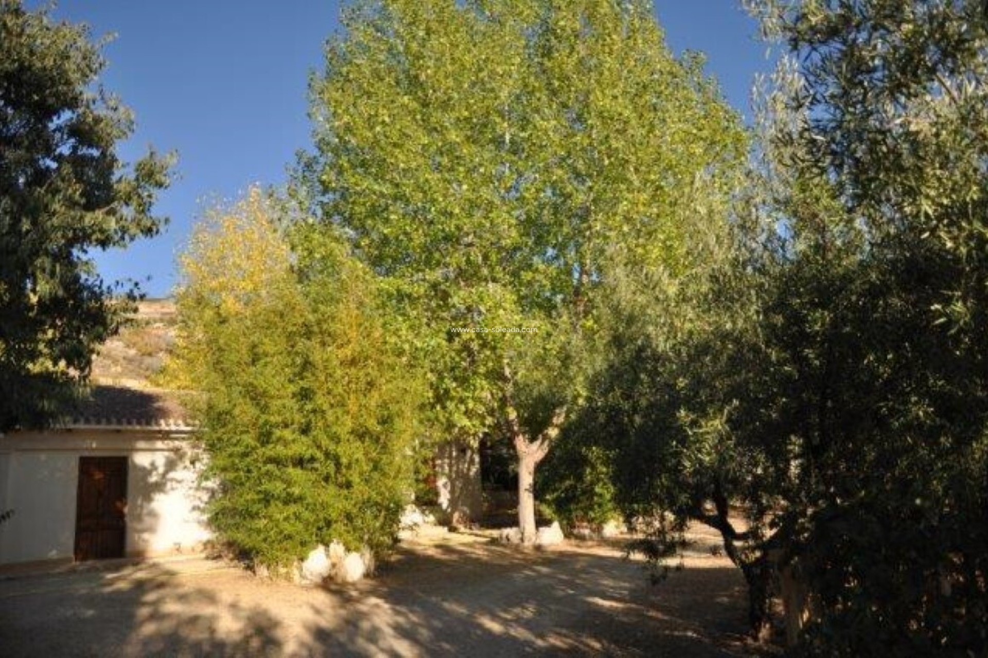 Wiederverkauf - Country Property/Finca - Torremanzanas - Costa Blanca