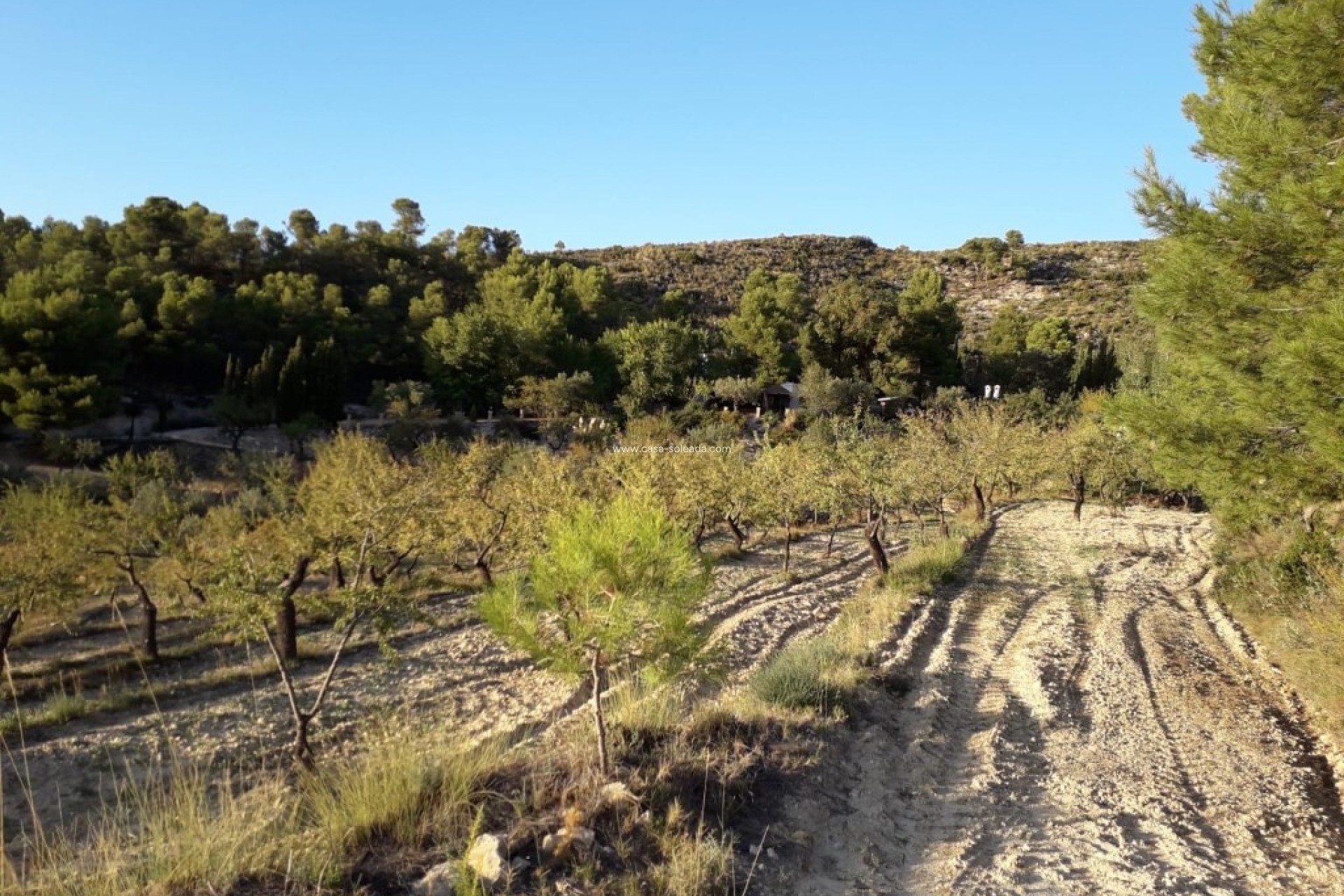 Wiederverkauf - Country Property/Finca - Torremanzanas - Costa Blanca