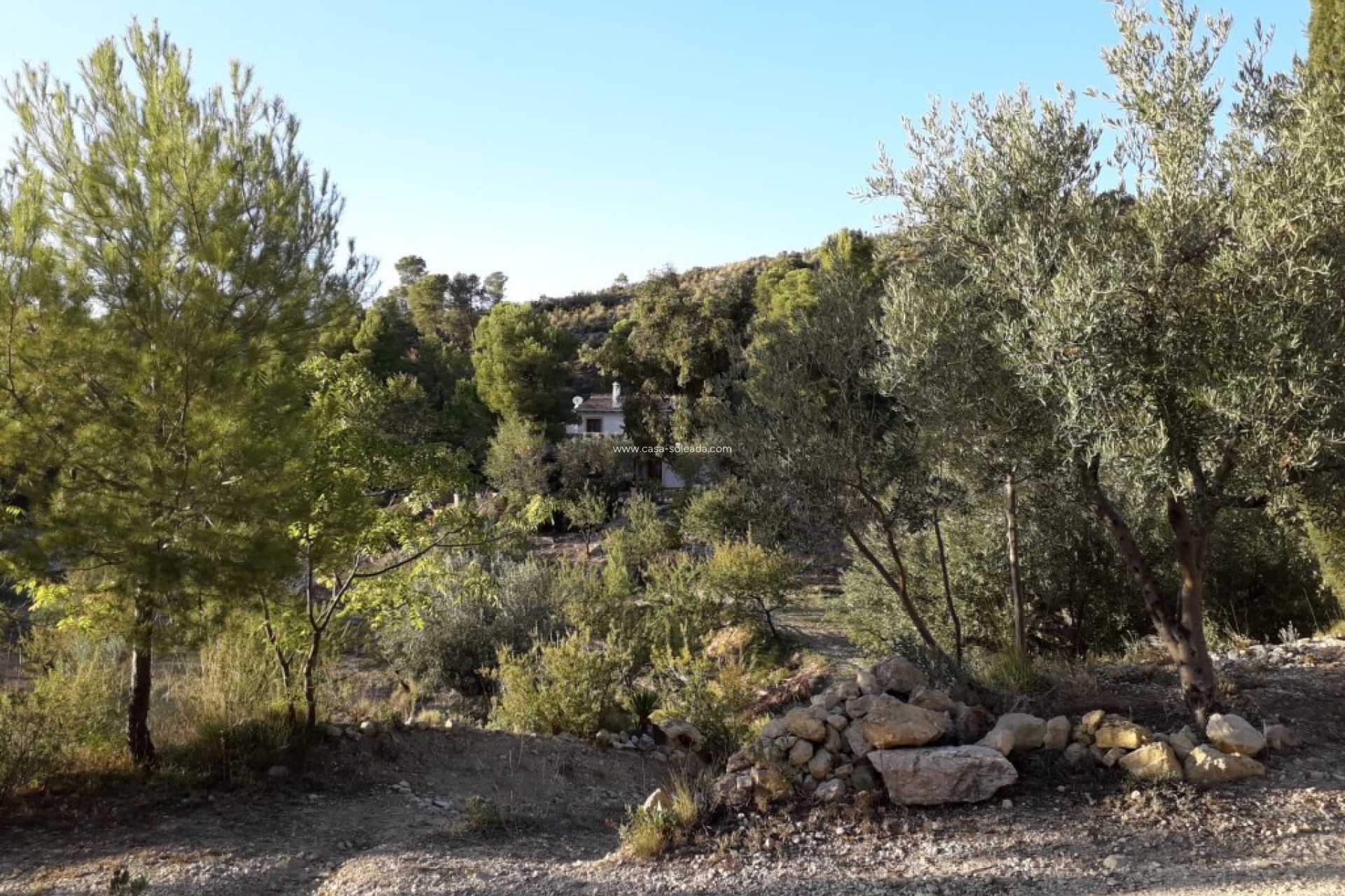 Wiederverkauf - Country Property/Finca - Torremanzanas - Costa Blanca