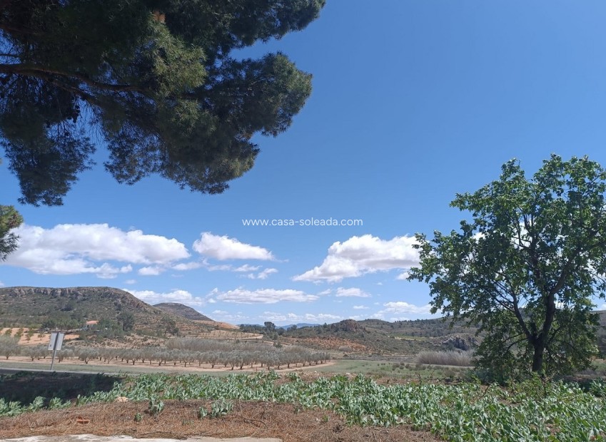 Wiederverkauf - Country Property/Finca - Yecla - Inland