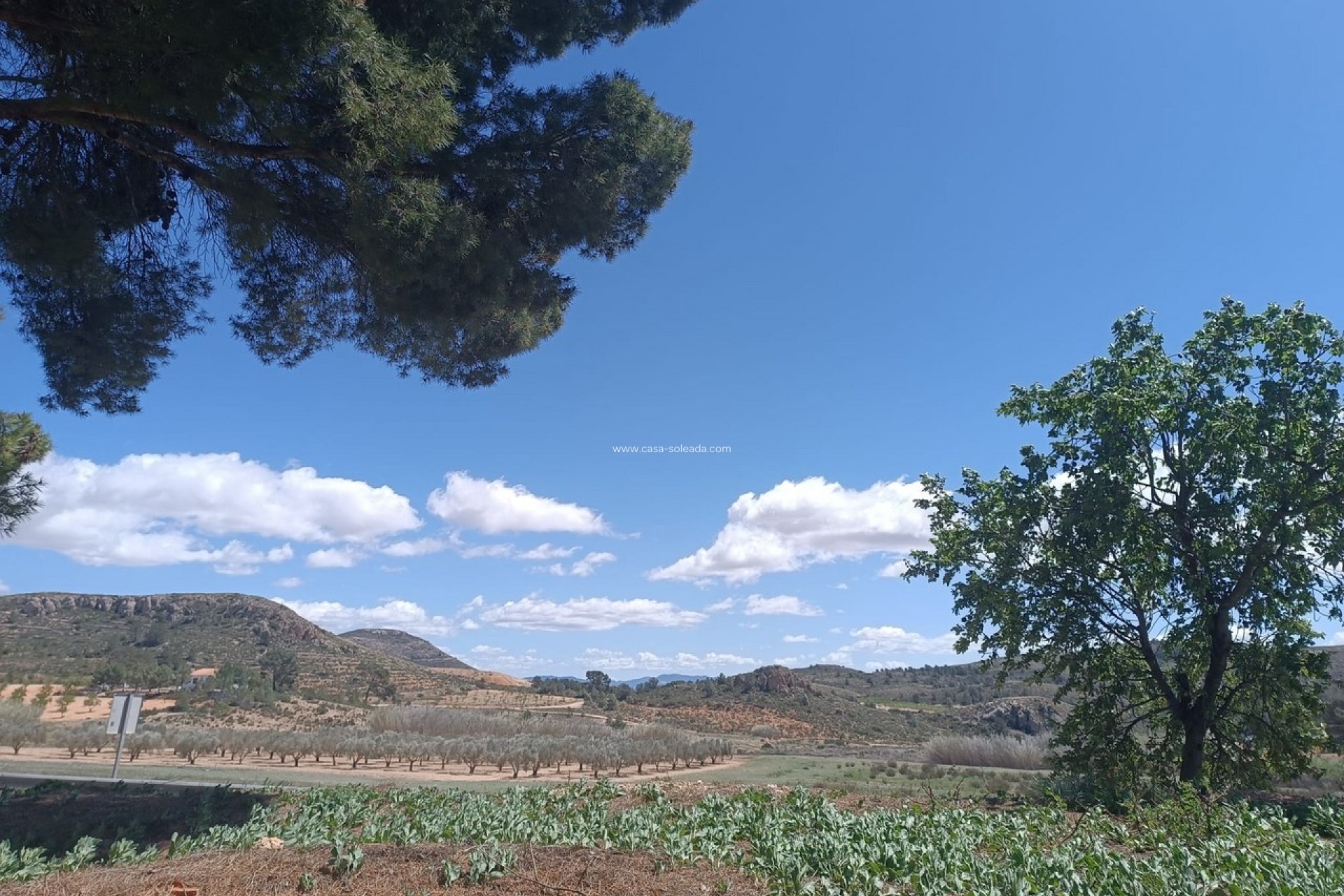 Wiederverkauf - Country Property/Finca - Yecla - Inland