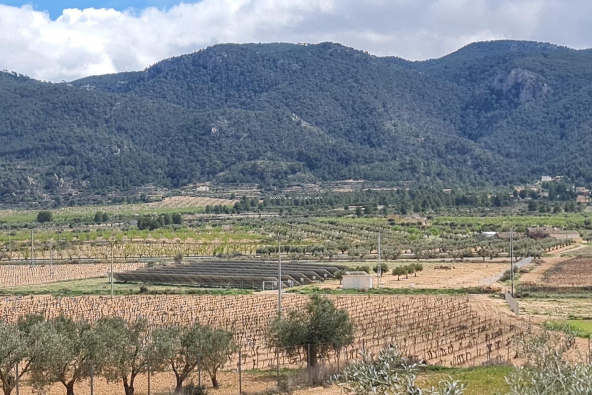 Wiederverkauf - Country Property/Finca - Yecla - Inland