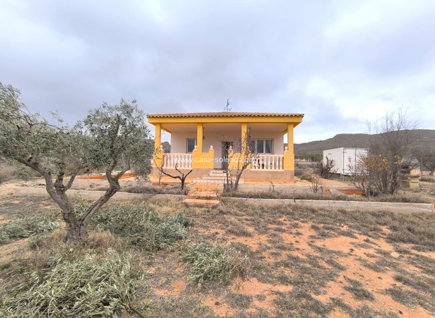 Wiederverkauf - Country Property/Finca - Yecla - Inland