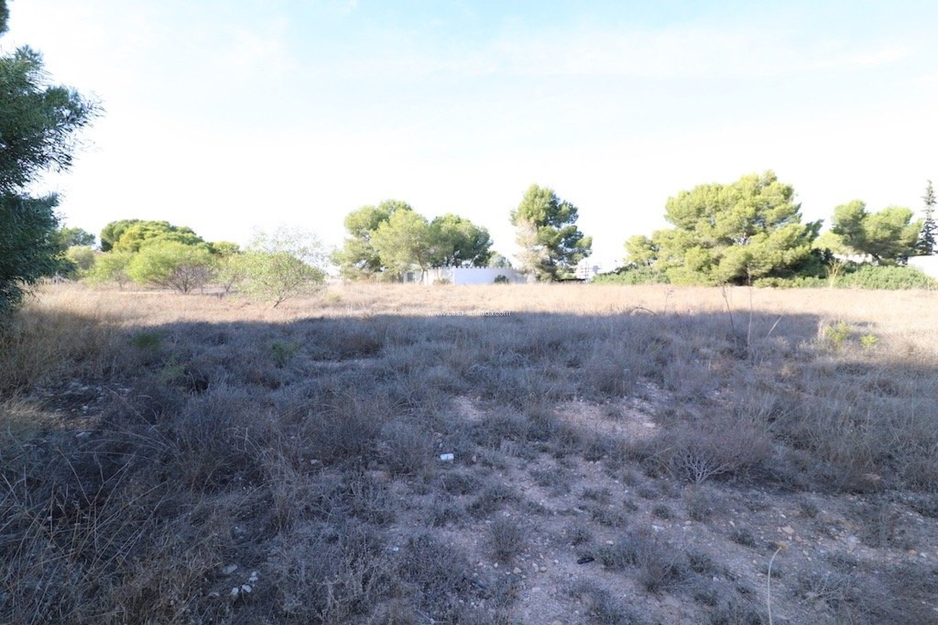 Wiederverkauf - Land - Orihuela Costa - Lomas de Cabo Roig