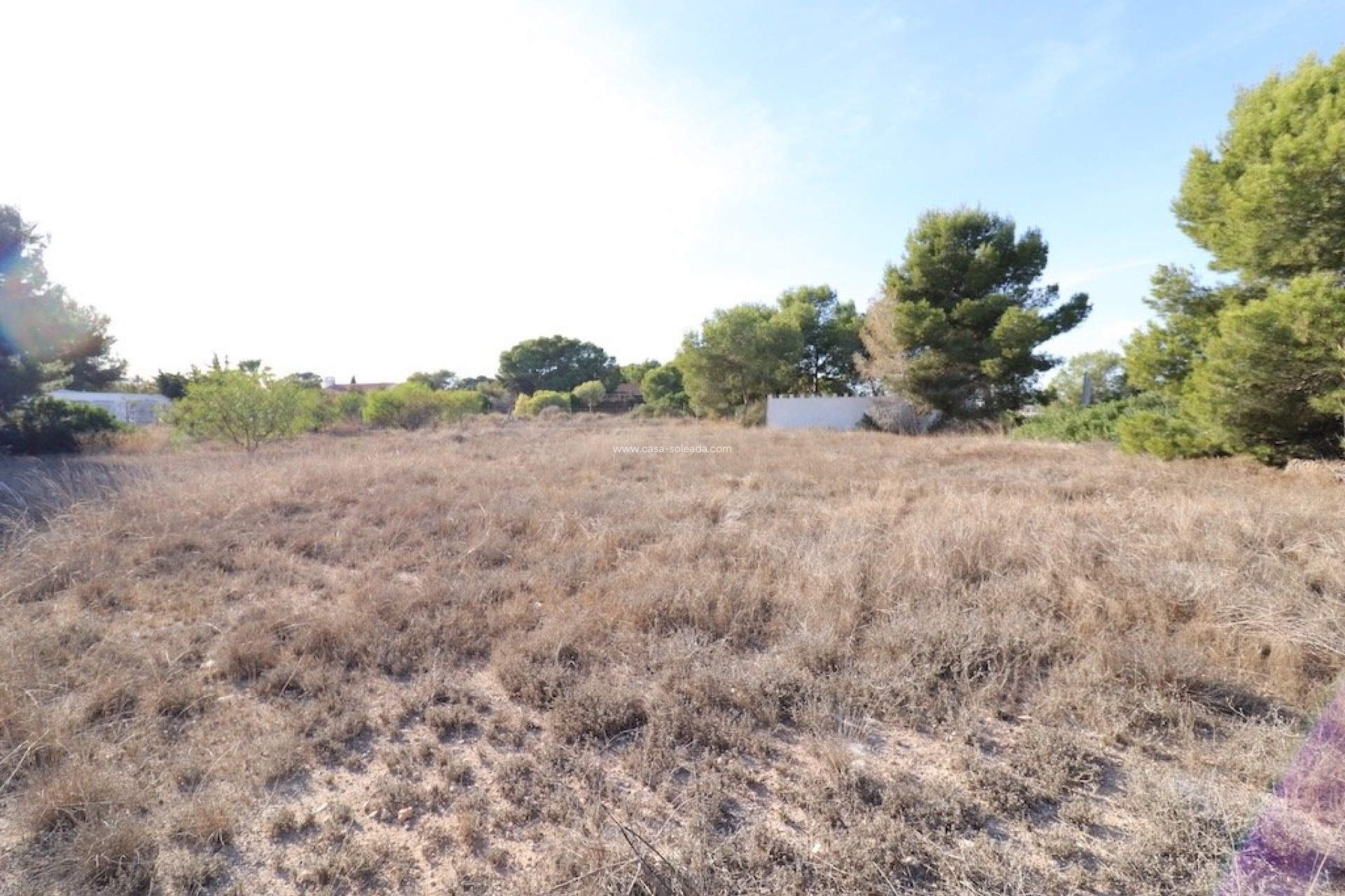 Wiederverkauf - Land - Orihuela Costa - Lomas de Cabo Roig