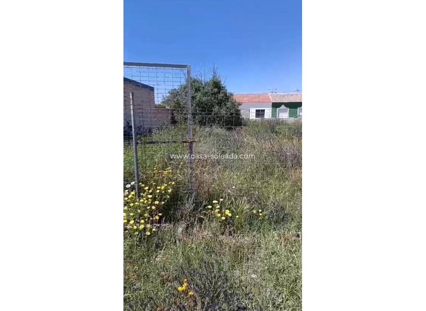Wiederverkauf - Land - San Pedro del Pinatar - Las Beatas