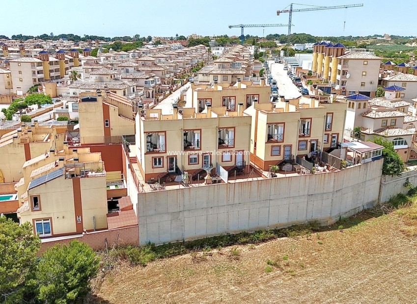 Wiederverkauf - Stadthaus - Cabo Roig - Costa Blanca
