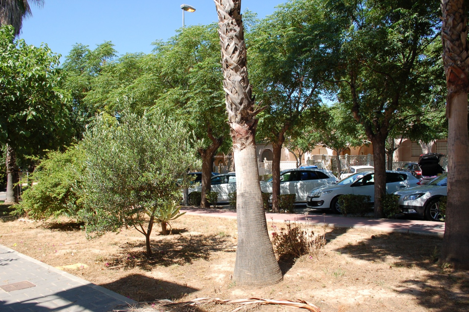 Wiederverkauf - Stadthaus - Mil Palmeras - Costa Blanca
