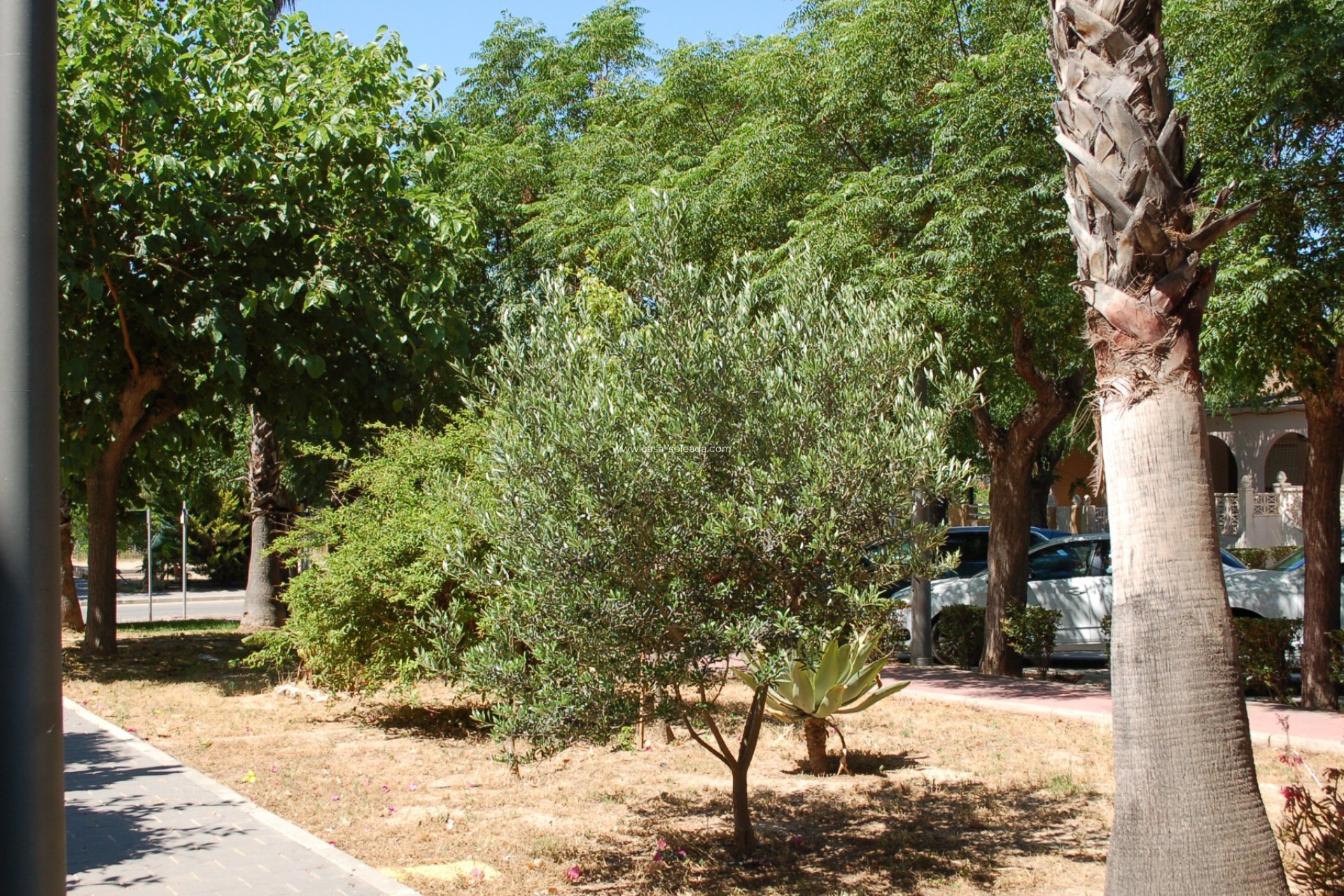 Wiederverkauf - Stadthaus - Mil Palmeras - Costa Blanca