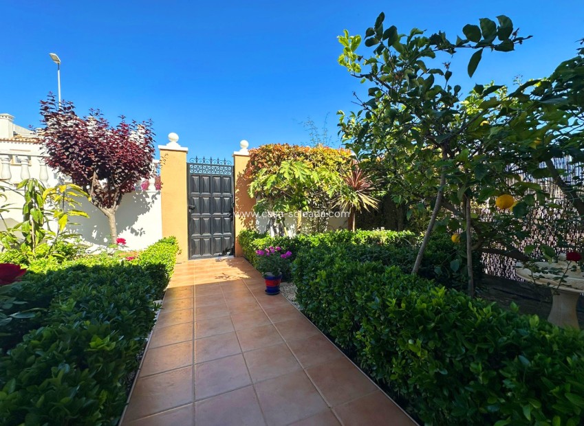 Wiederverkauf - Villa - Guardamar del Segura - Costa Blanca