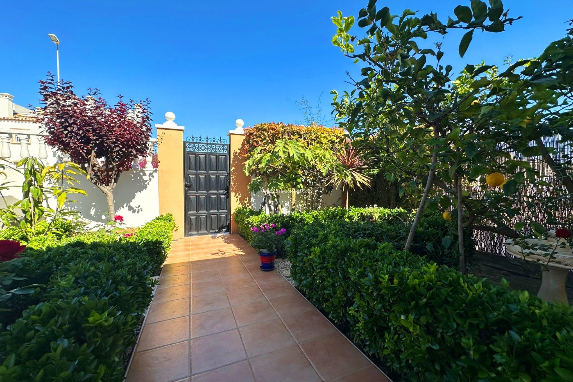 Wiederverkauf - Villa - Guardamar del Segura - Costa Blanca