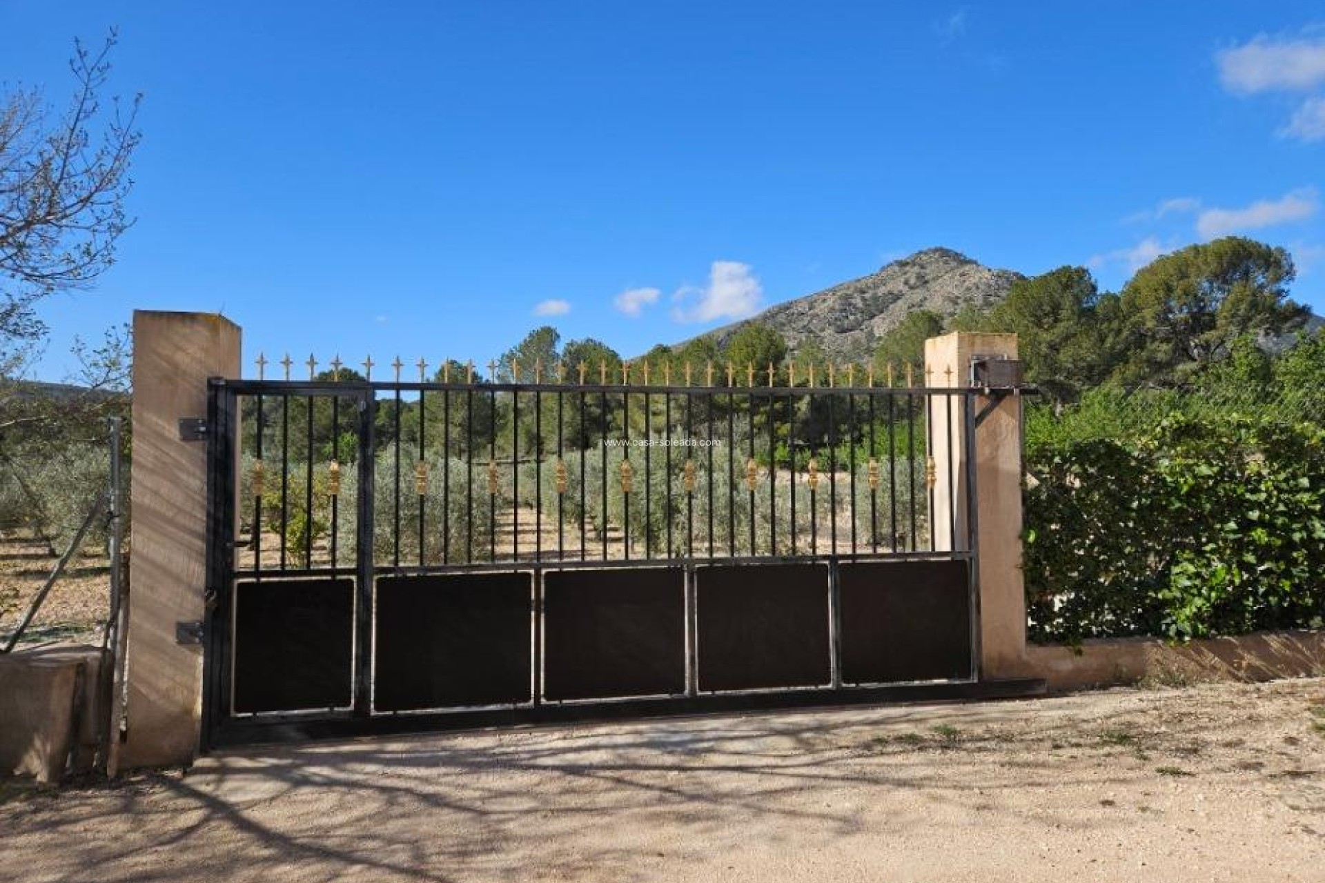Wiederverkauf - Villa - Monóvar - Comunidad Valenciana