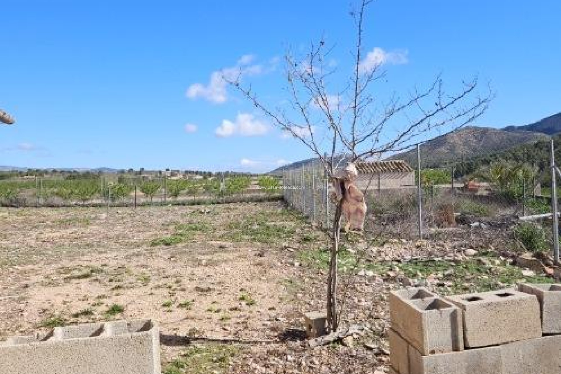 Wiederverkauf - Villa - Monóvar - Comunidad Valenciana