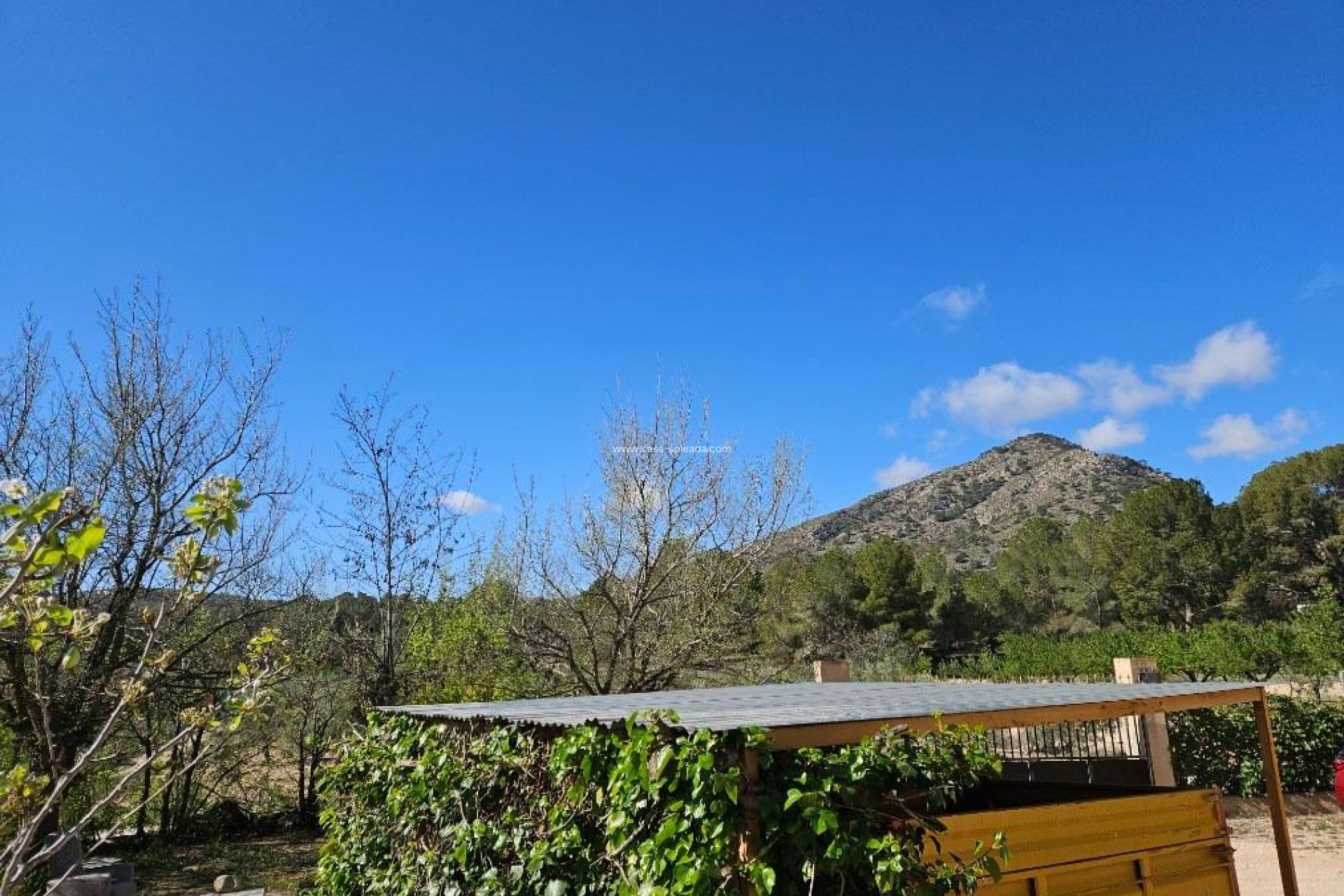 Wiederverkauf - Villa - Monóvar - Comunidad Valenciana