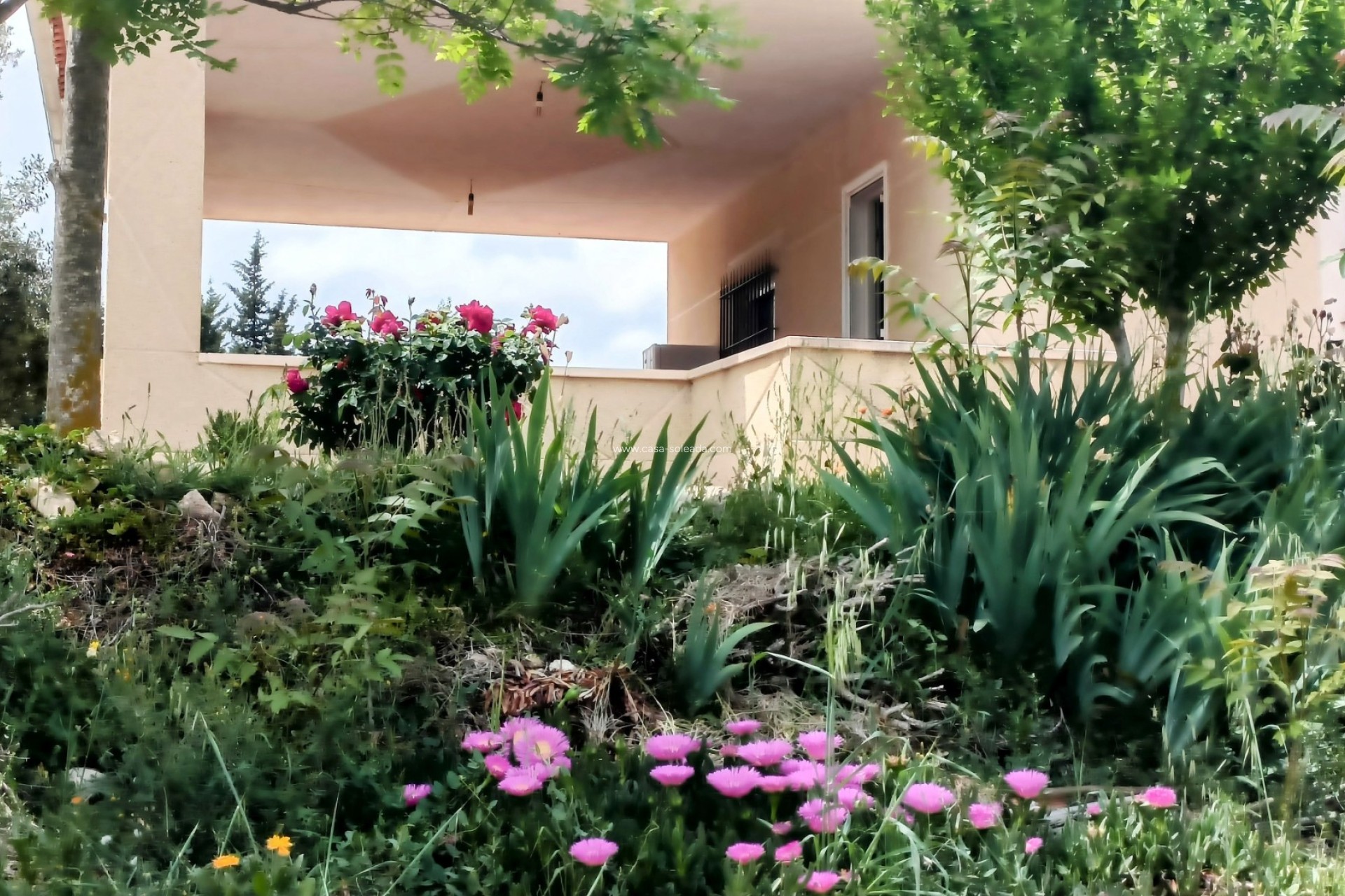 Wiederverkauf - Villa - Monóvar - Inland