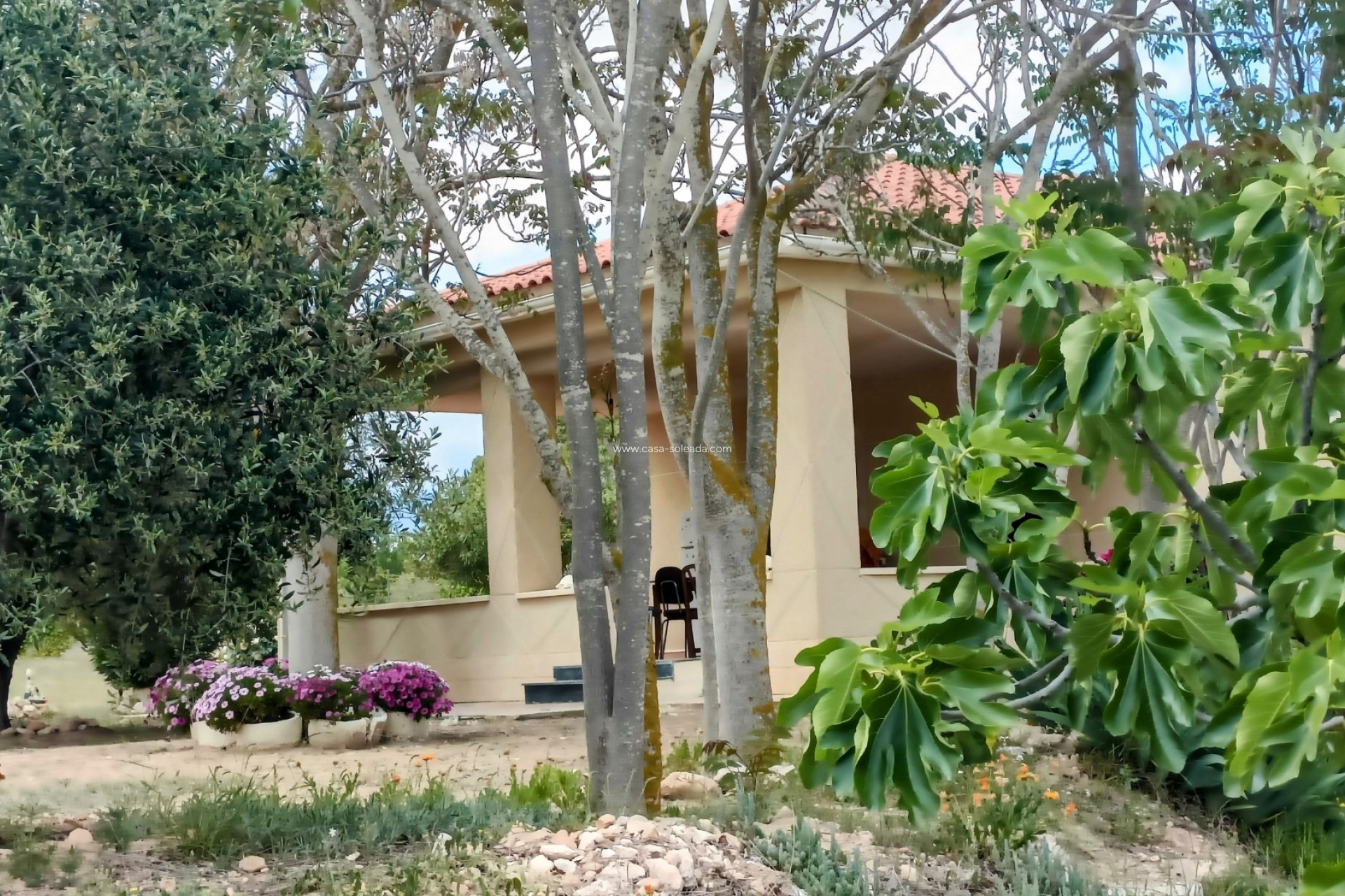 Wiederverkauf - Villa - Monóvar - Inland
