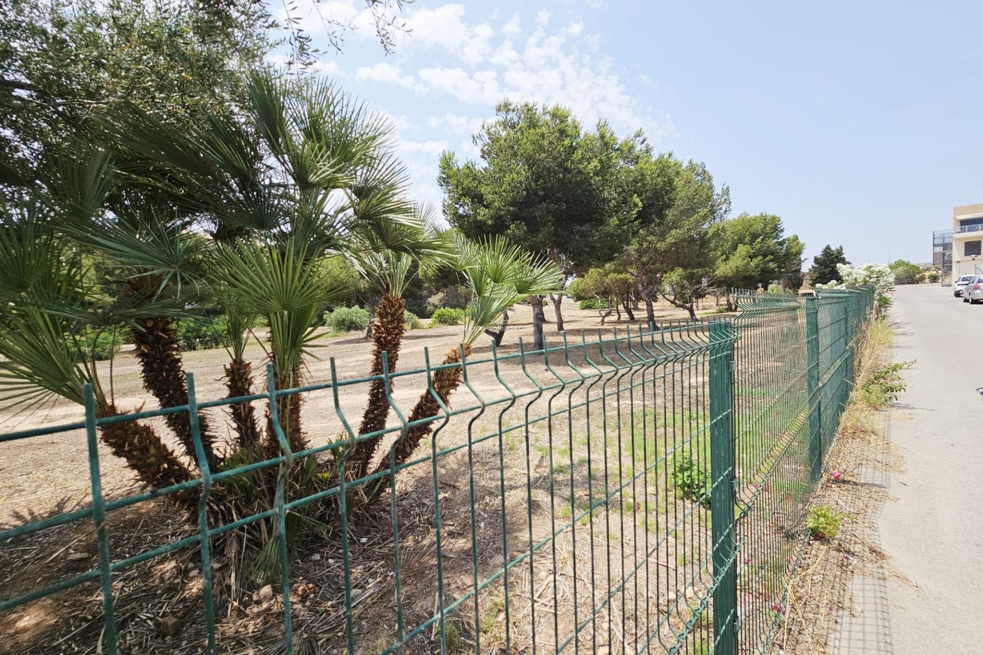 Wiederverkauf - Villa - Orihuela Costa - La Regia