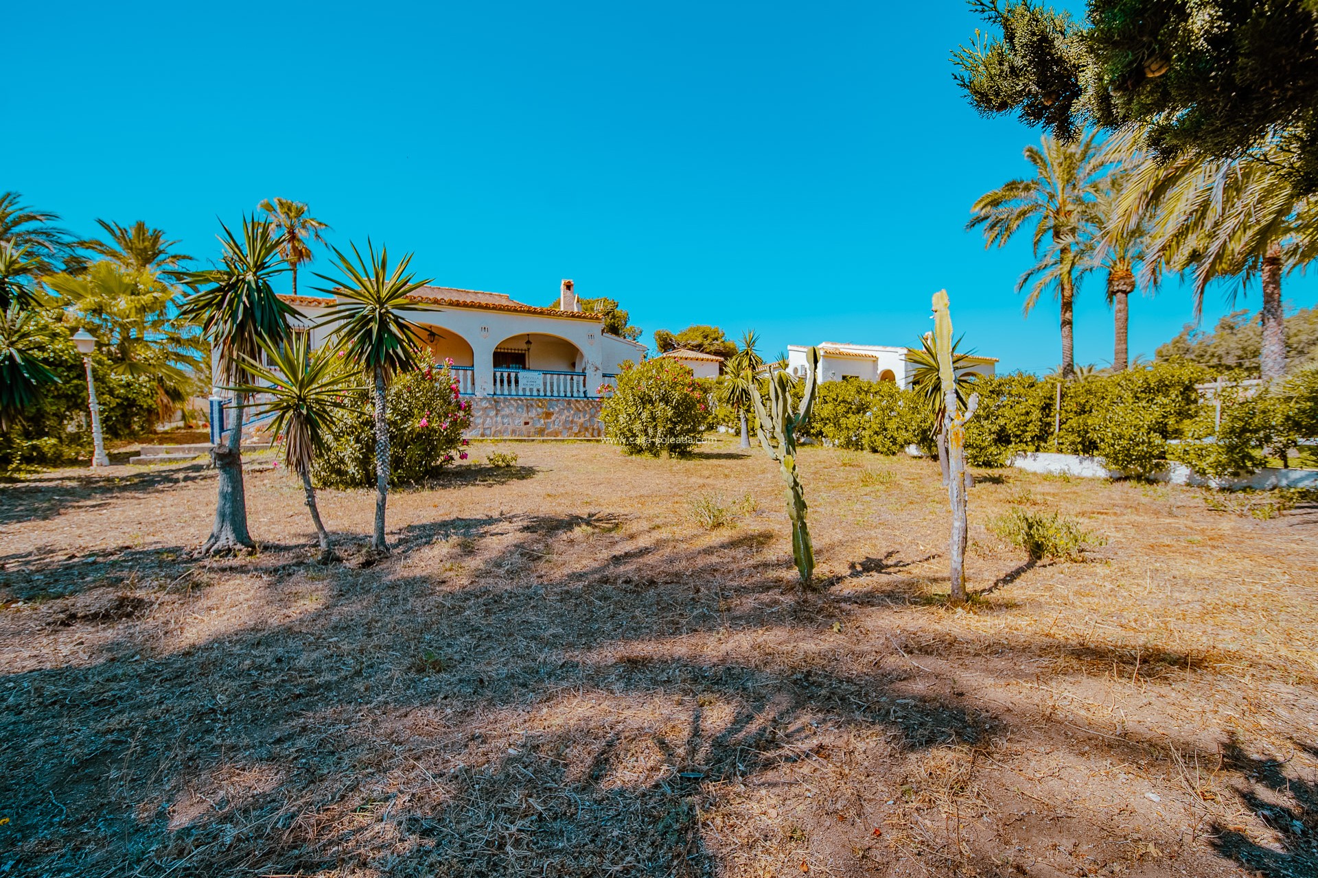Wiederverkauf - Villa - Orihuela Costa - Playa Flamenca