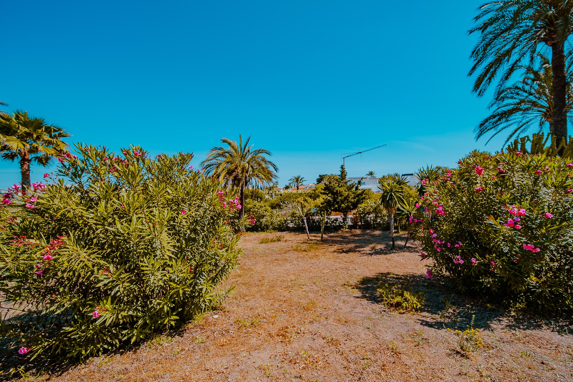 Wiederverkauf - Villa - Orihuela Costa - Playa Flamenca