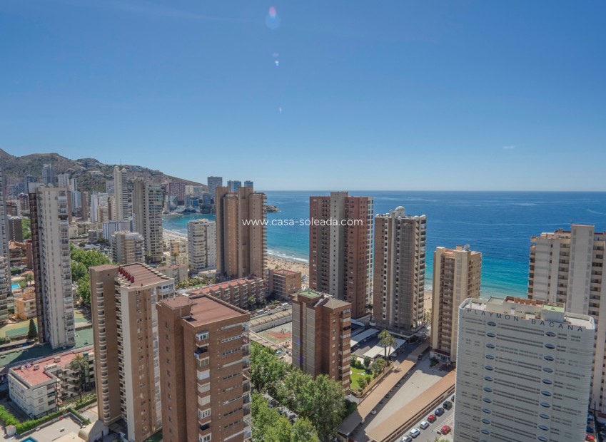Wiederverkauf - Wohnung - Benidorm - Coblanca