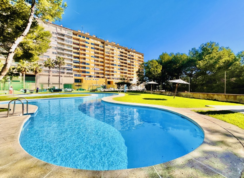 Wiederverkauf - Wohnung - Dehesa De Campoamor - Costa Blanca