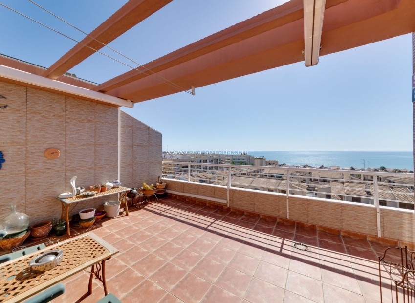 Wiederverkauf - Wohnung - Guardamar del Segura - Costa Blanca