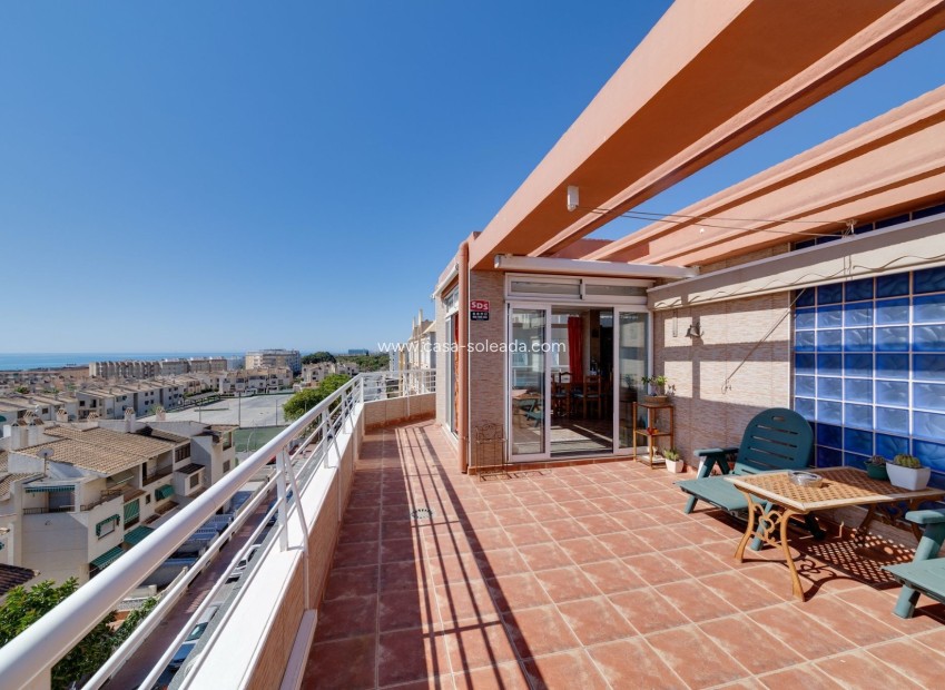 Wiederverkauf - Wohnung - Guardamar del Segura - Costa Blanca