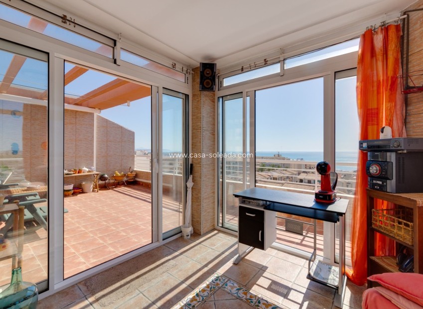 Wiederverkauf - Wohnung - Guardamar del Segura - Costa Blanca