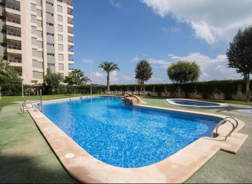 Wiederverkauf - Wohnung - Guardamar del Segura - Costa Blanca