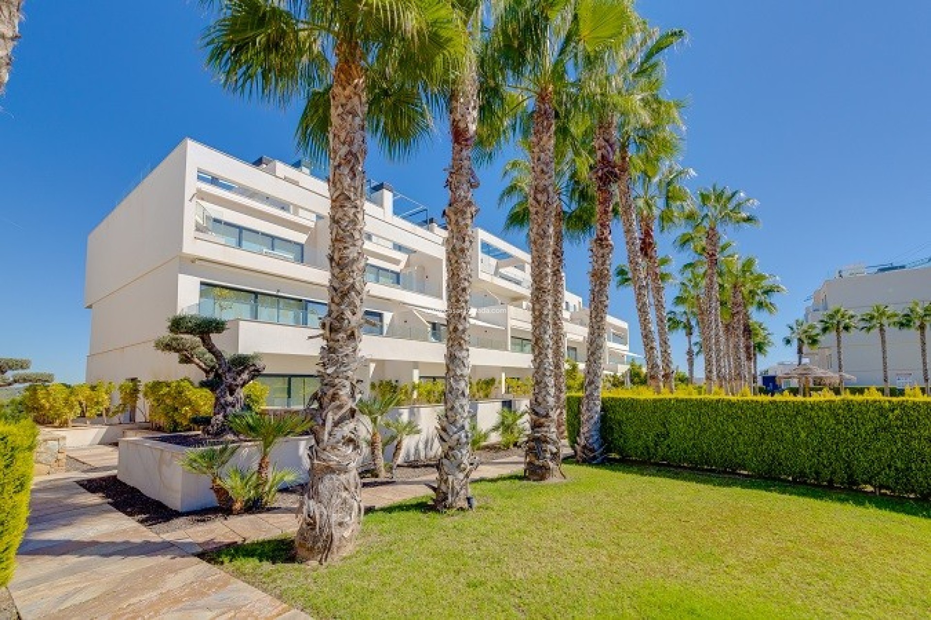 Wiederverkauf - Wohnung - Las Colinas Golf Resort