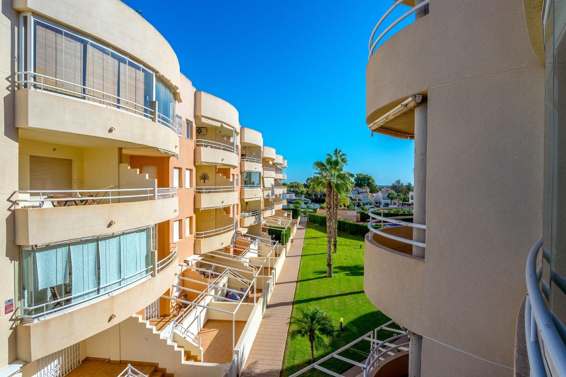 Wiederverkauf - Wohnung - Orihuela Costa - Altos De Campoamor