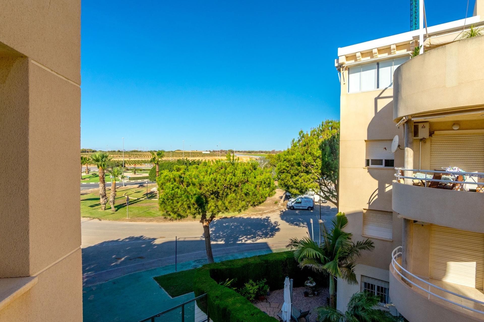 Wiederverkauf - Wohnung - Orihuela Costa - Altos De Campoamor