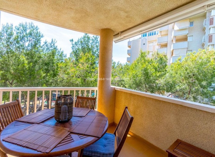 Wiederverkauf - Wohnung - Orihuela Costa - Altos De Campoamor