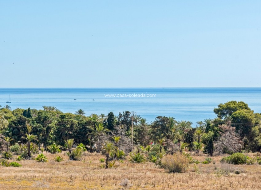 Wiederverkauf - Wohnung - Orihuela Costa - Costa Blanca