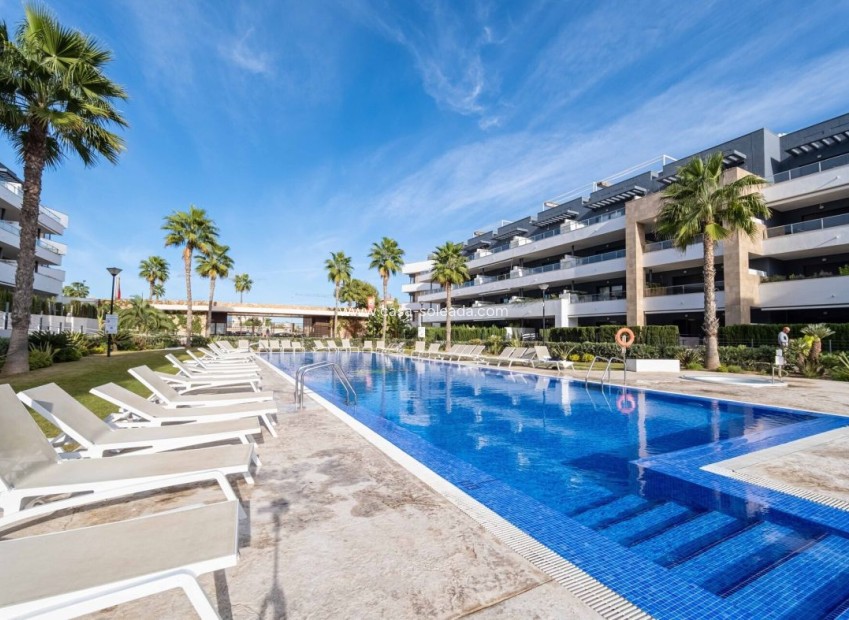 Wiederverkauf - Wohnung - Orihuela Costa - Costa Blanca
