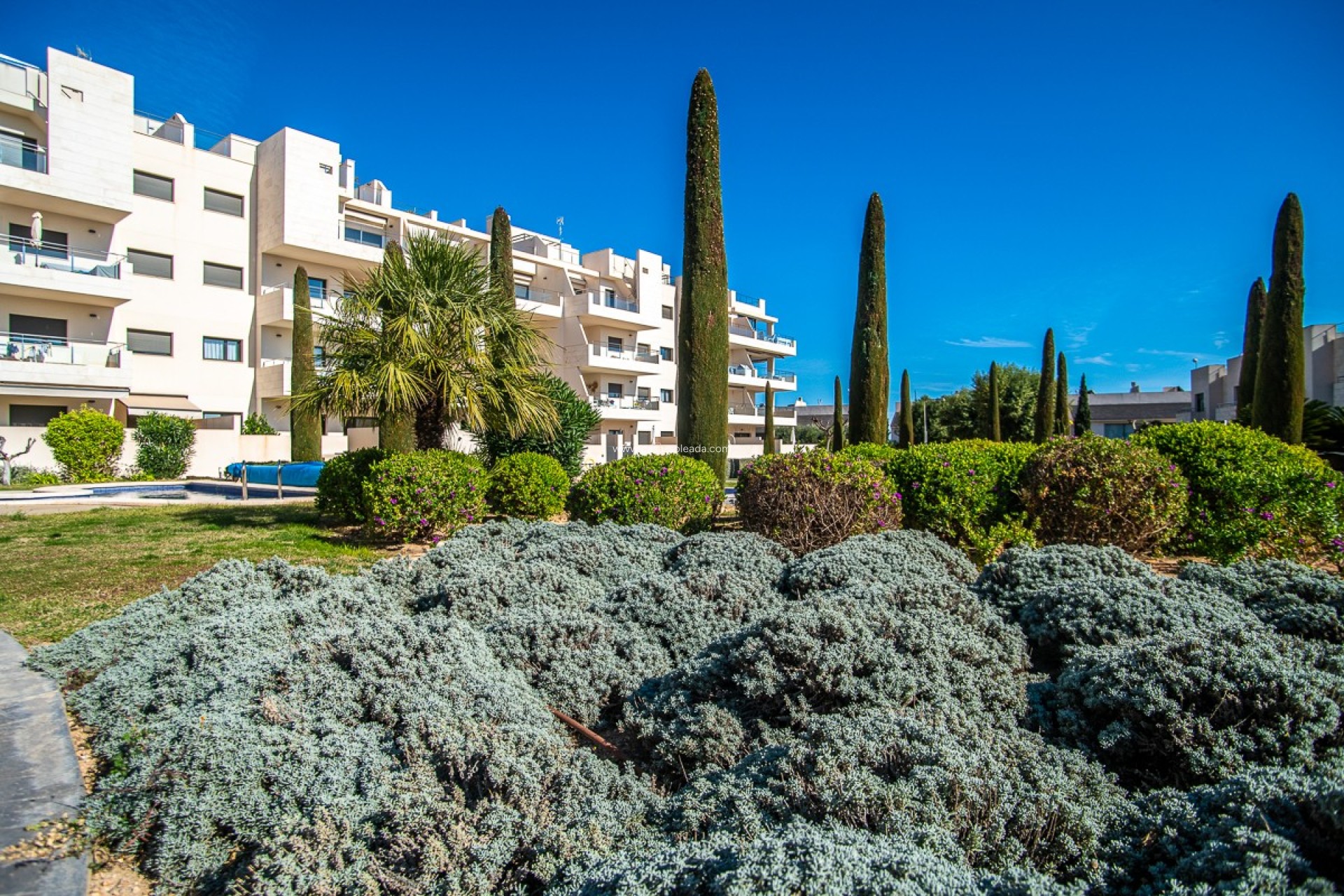 Wiederverkauf - Wohnung - Orihuela Costa - Costa Blanca