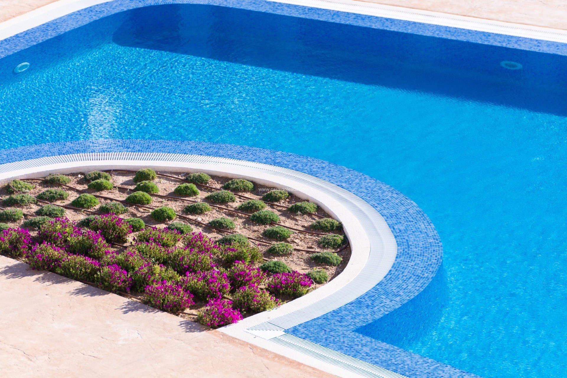Wiederverkauf - Wohnung - Orihuela Costa - Costa Blanca