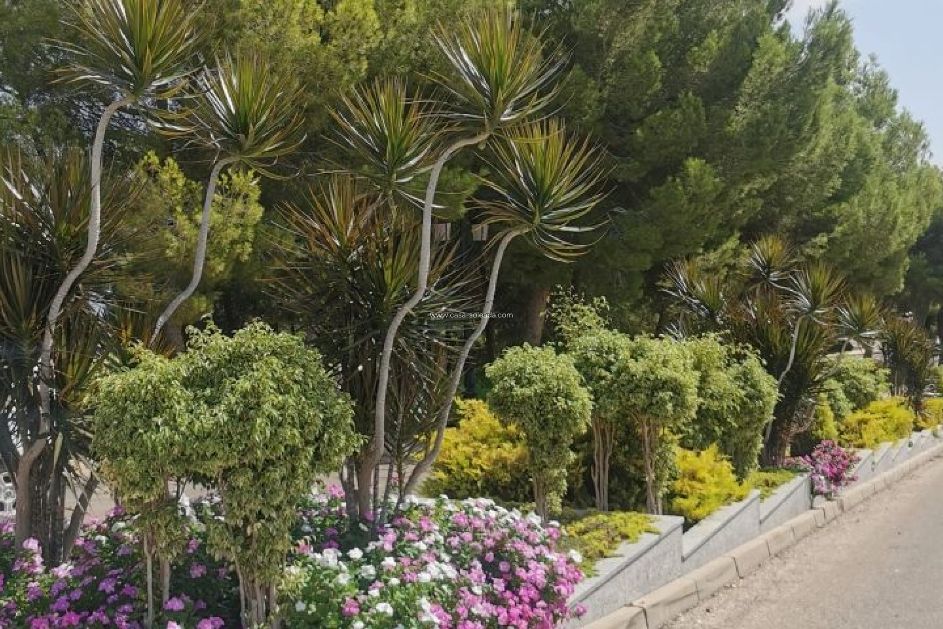 Wiederverkauf - Wohnung - Orihuela Costa - Costa Blanca