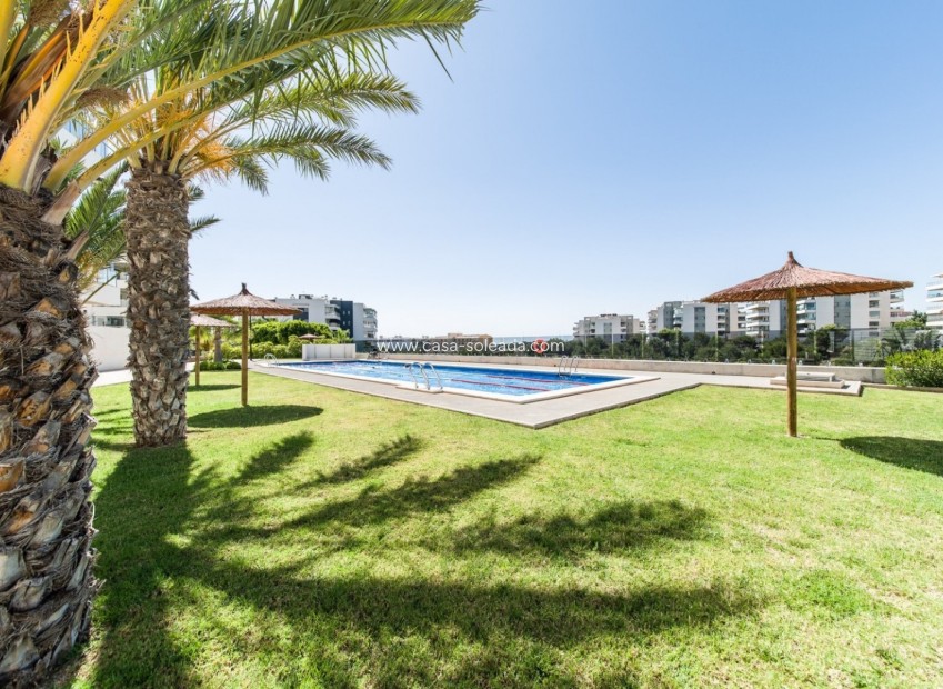 Wiederverkauf - Wohnung - Orihuela Costa - Costa Blanca