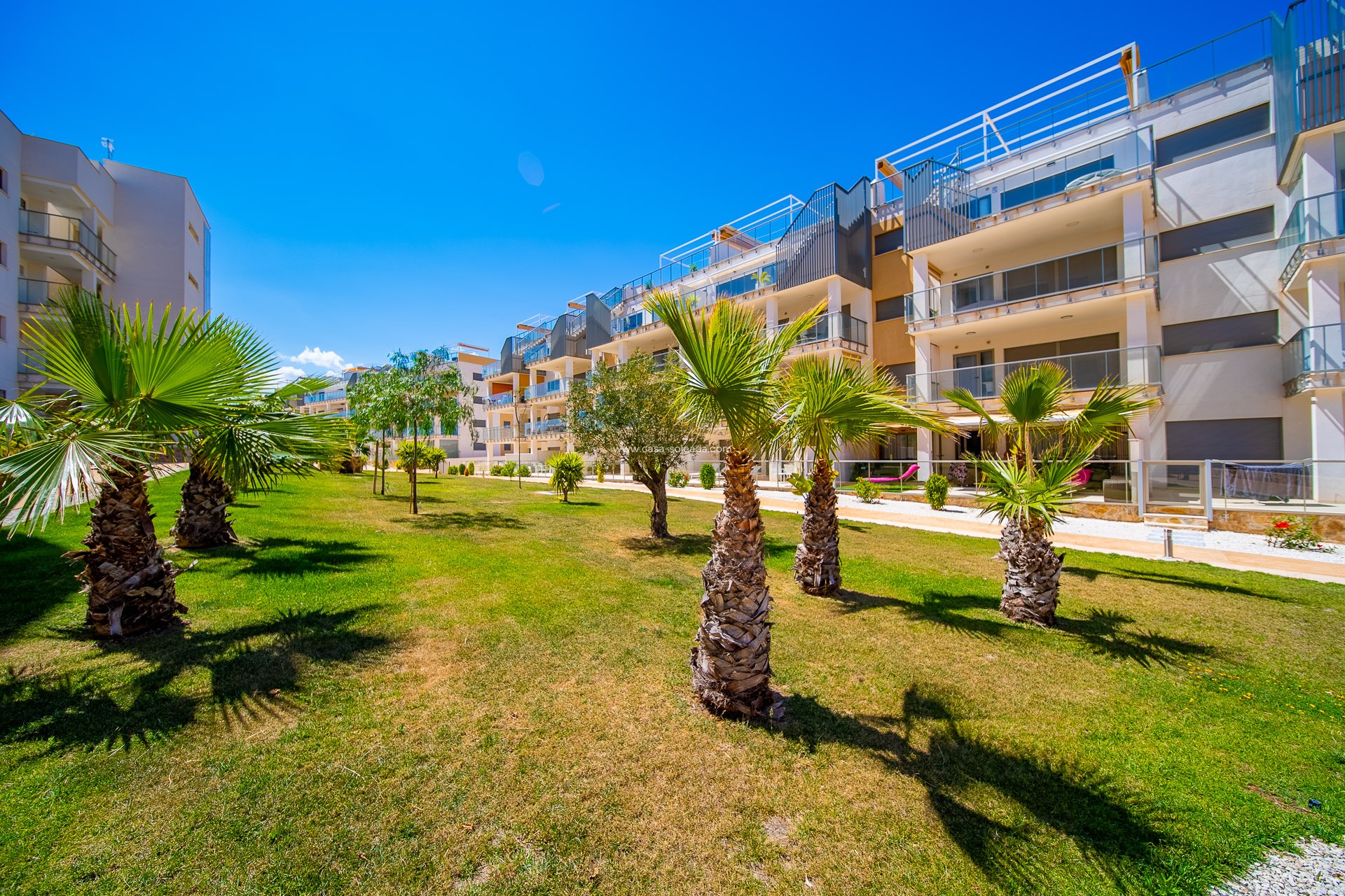 Wiederverkauf - Wohnung - Orihuela Costa - Villamartín
