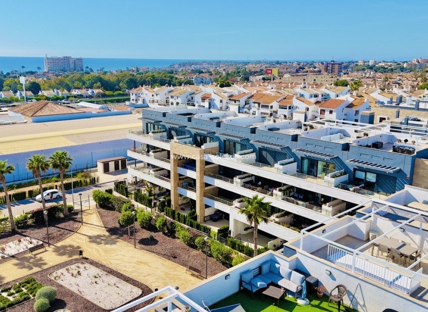 Wiederverkauf - Wohnung - Playa Flamenca