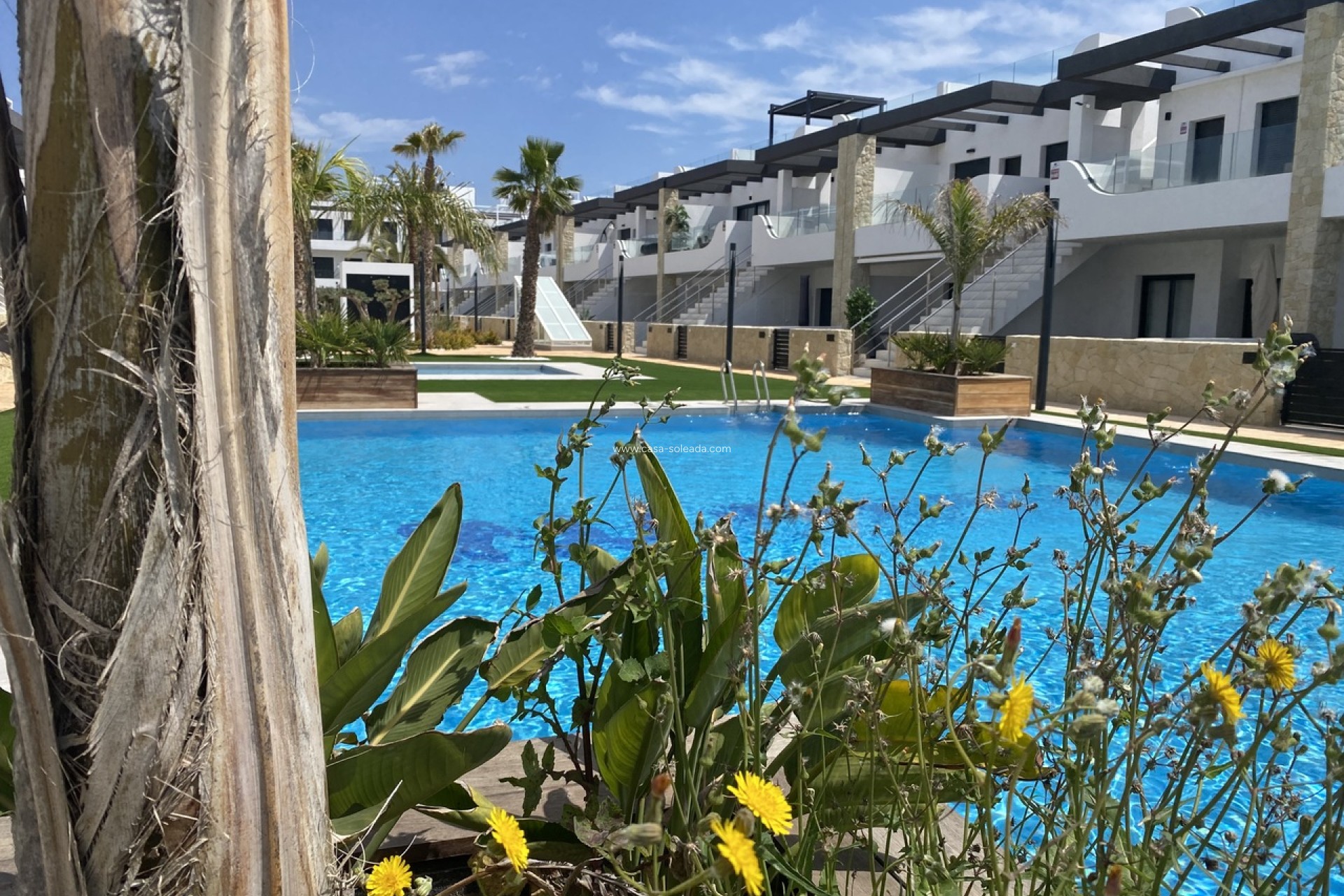 Wiederverkauf - Wohnung - Punta Prima - Costa Blanca