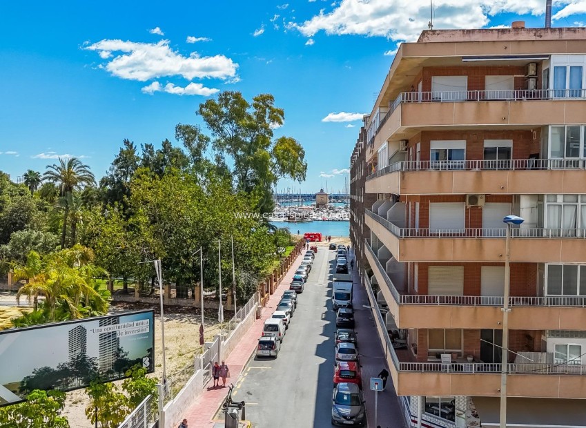 Wiederverkauf - Wohnung - Torrevieja - Acequion