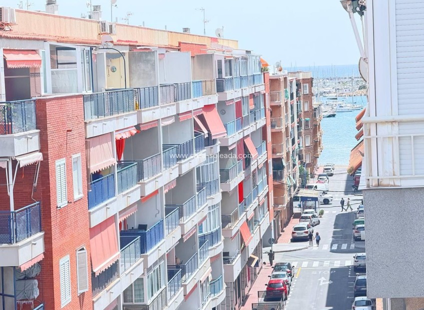 Wiederverkauf - Wohnung - Torrevieja - Acequion