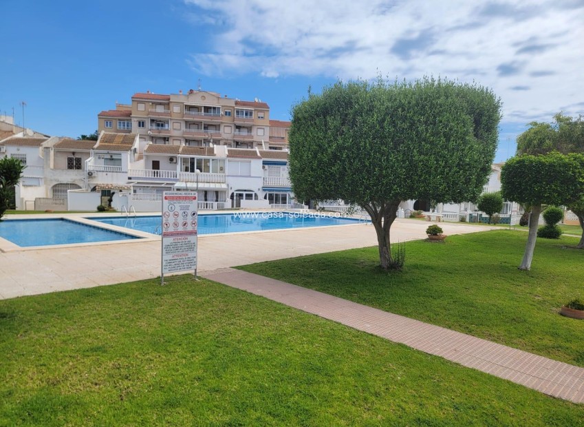 Wiederverkauf - Wohnung - Torrevieja - Calas Blanca