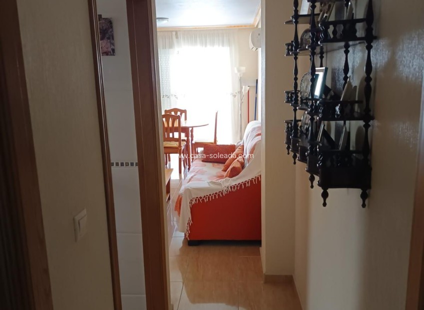 Wiederverkauf - Wohnung - Torrevieja - Center