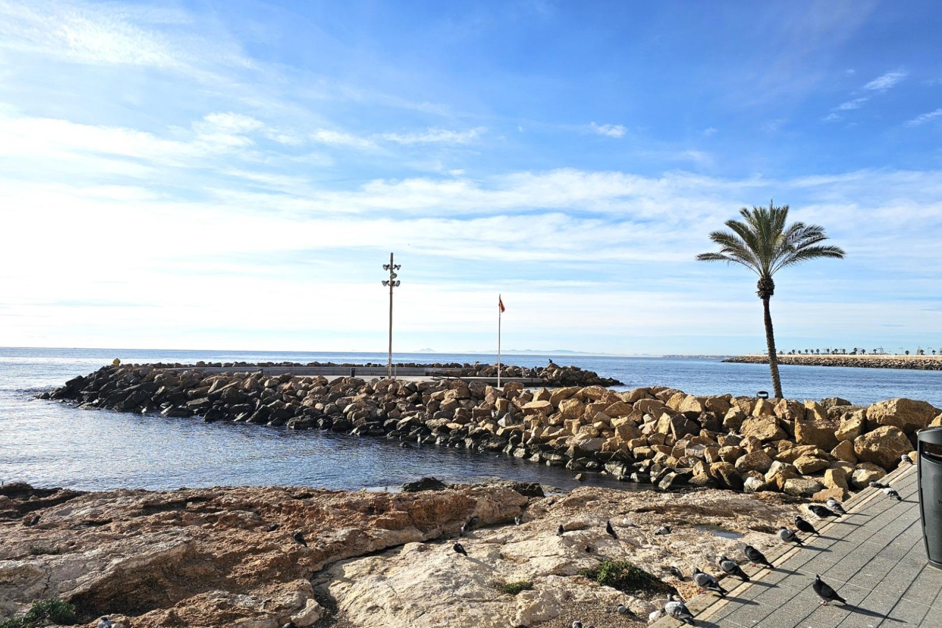Wiederverkauf - Wohnung - Torrevieja - Center